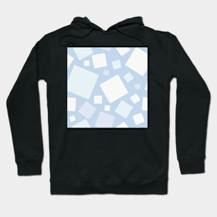 AC Snow B Hoodie